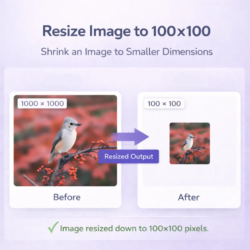 resize image to 100x100 pixels